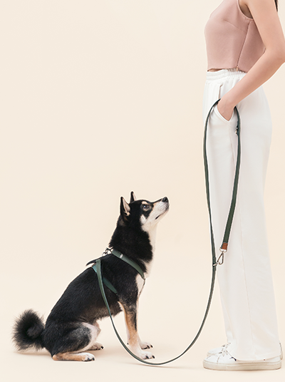 HART MULTI-FUNCTION LEASH - DARK GREEN