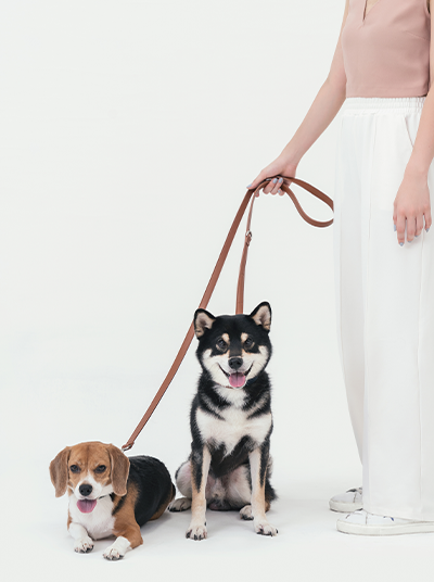 HART MULTI-FUNCTION LEASH- AMBER ORANGE