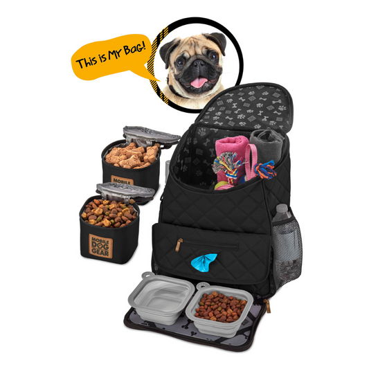 Weekender Backpack TM